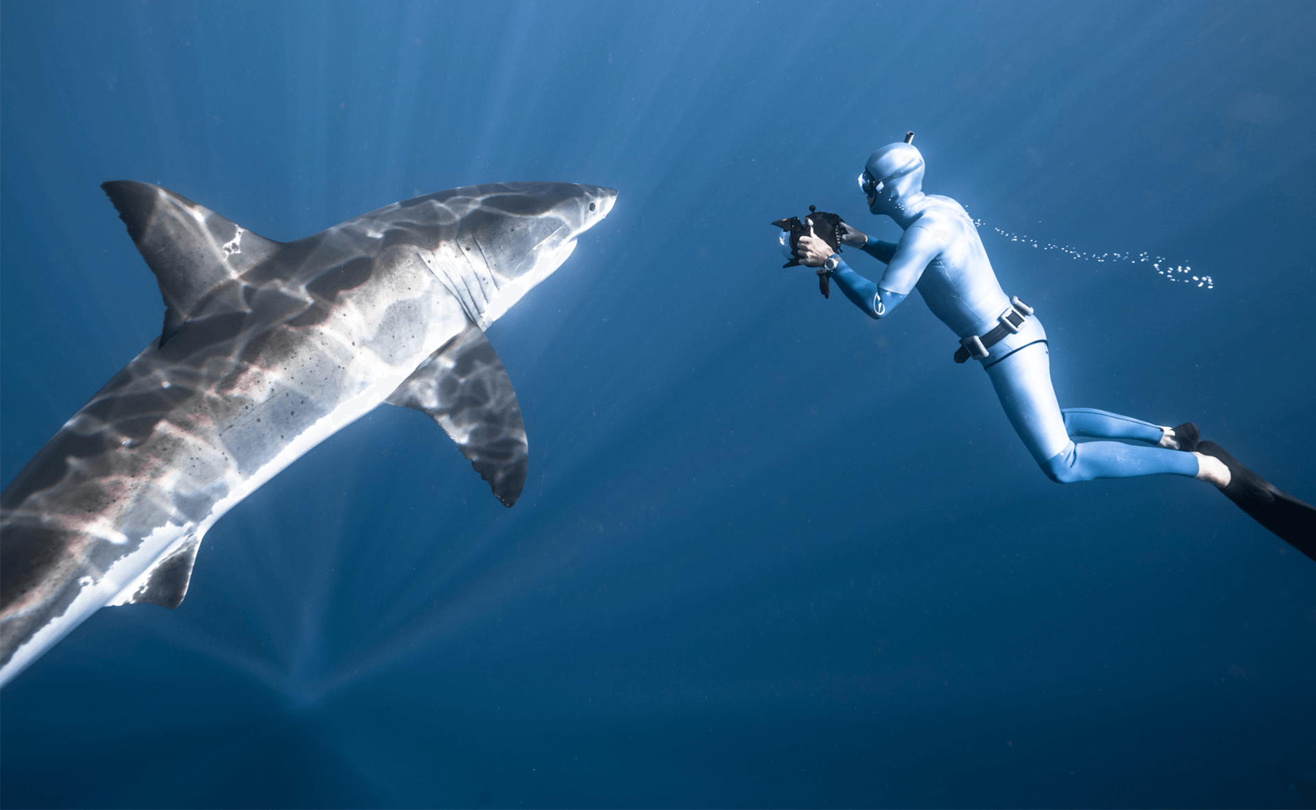 Fred-Buyle-Voorbeeldfoto-7