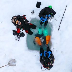 800x600_122536-recycleur